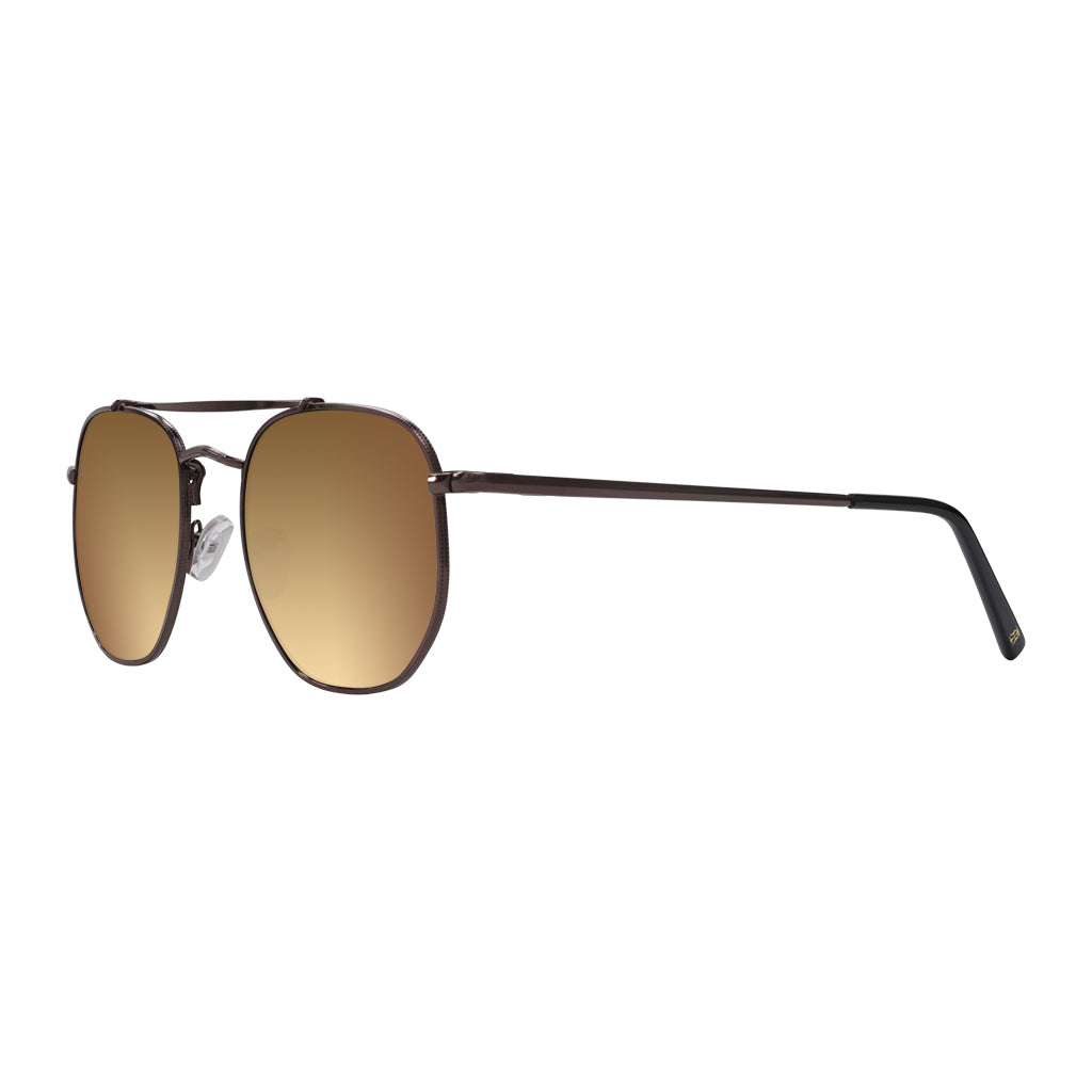 Brown Princeton sun spectacles